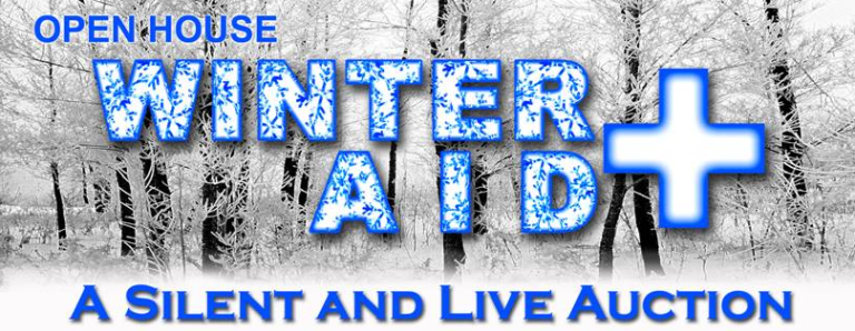 Winter Aid - Silent Auction and Frame USA Open House