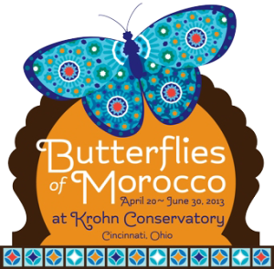 Butterflies of Moocco