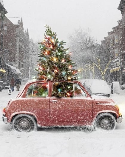 Christmas Tree Car