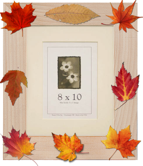 Fall Picture Frame 