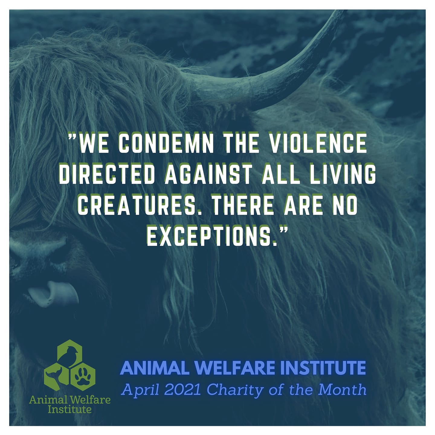 April Charity Month: We Picked Animal Welfare Institute