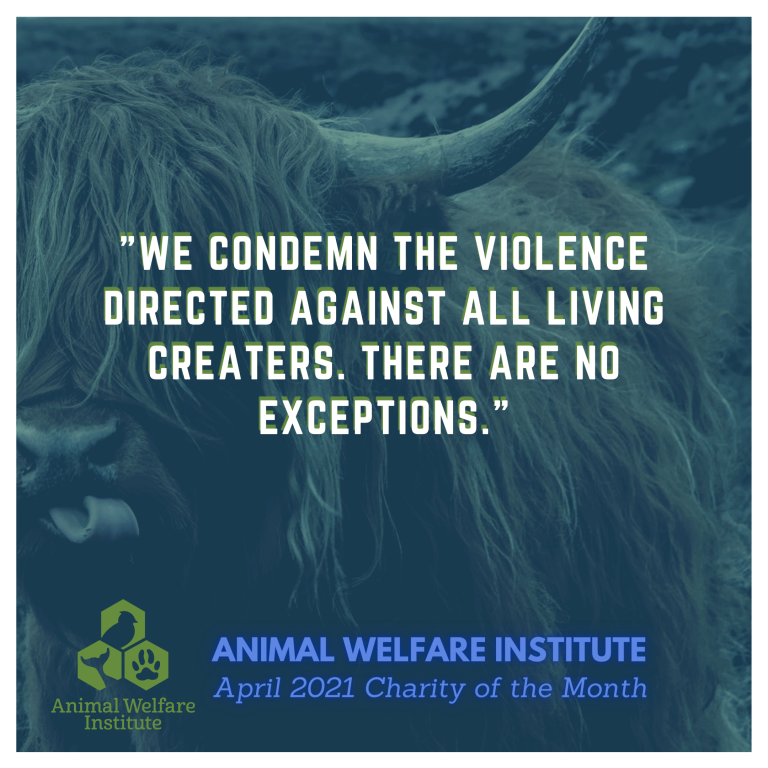 Animal welfare institute - Frame USA